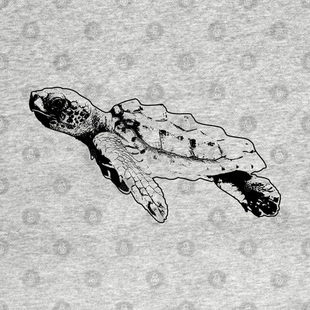 Cute Turtle Art by KAM Std